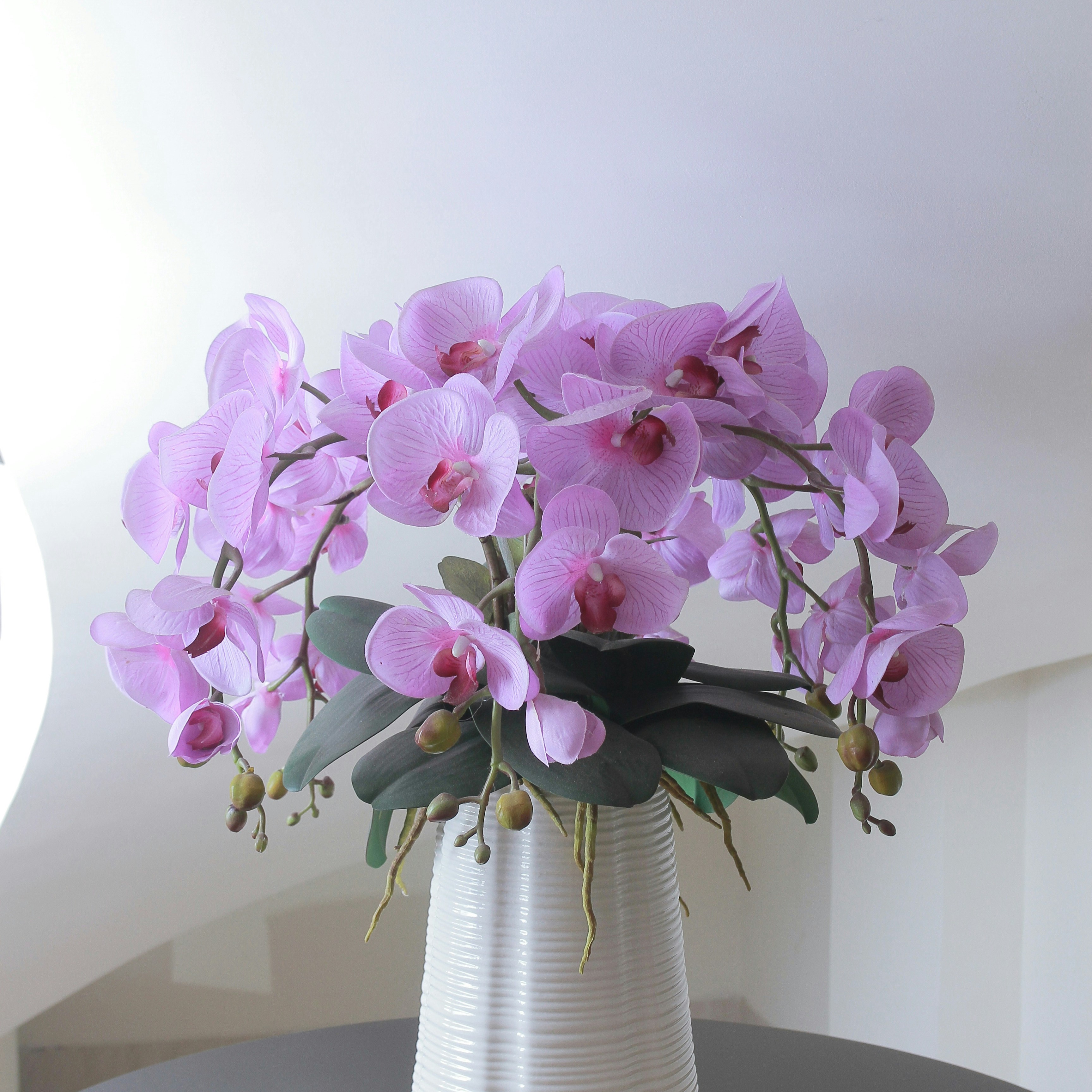 purple orchid plant